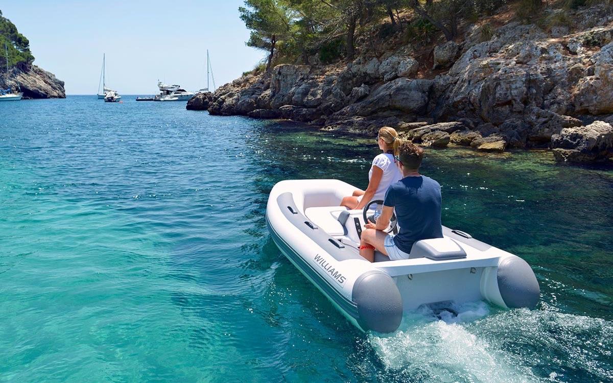 Williams Jet Tenders MiniJet