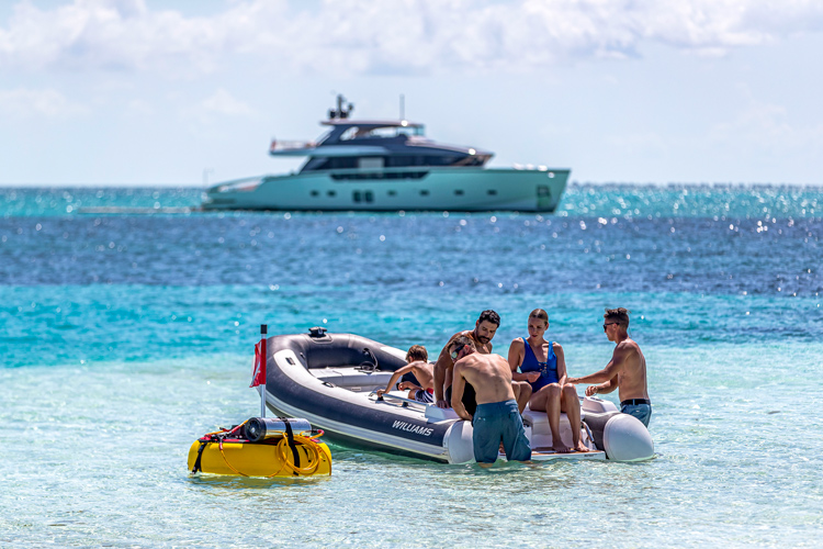 Williams Jet Tenders - Our Passion. Your Joy.